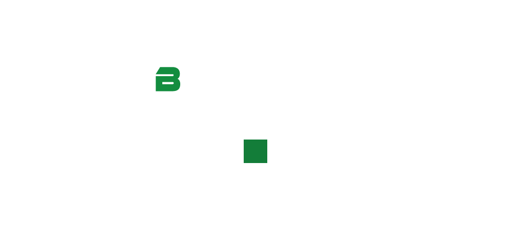 bnrhalf_business_ccover
