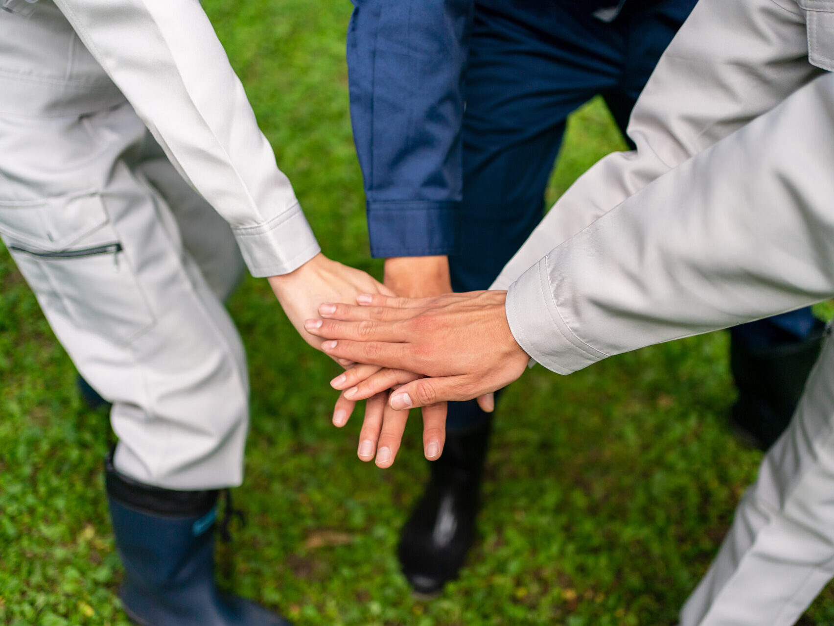 pixta_86659230_M-e1762398276929